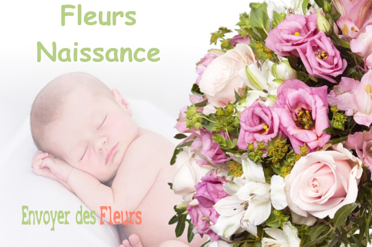 lIVRAISON FLEURS NAISSANCE à CRANCOT